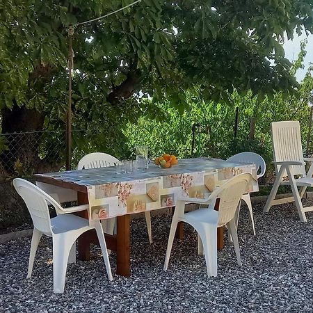 Appartamento Bellavista カステッリーナ・マリッティマ エクステリア 写真