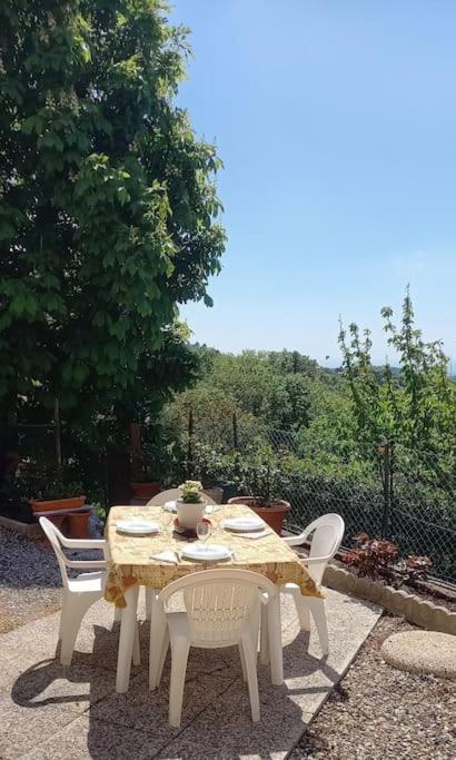 Appartamento Bellavista カステッリーナ・マリッティマ エクステリア 写真