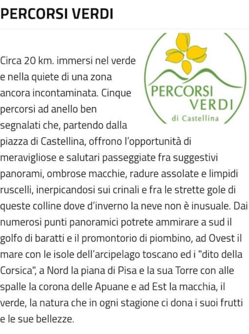 Appartamento Bellavista カステッリーナ・マリッティマ エクステリア 写真