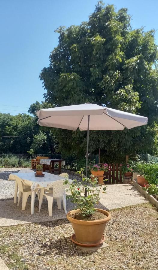 Appartamento Bellavista カステッリーナ・マリッティマ エクステリア 写真